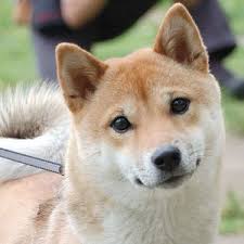 Unknown-5