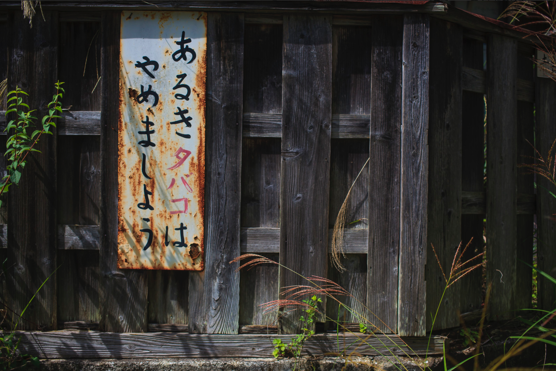 歩きタバコをする人の心理が意味不明過ぎて絶望。世界平和も無理か?